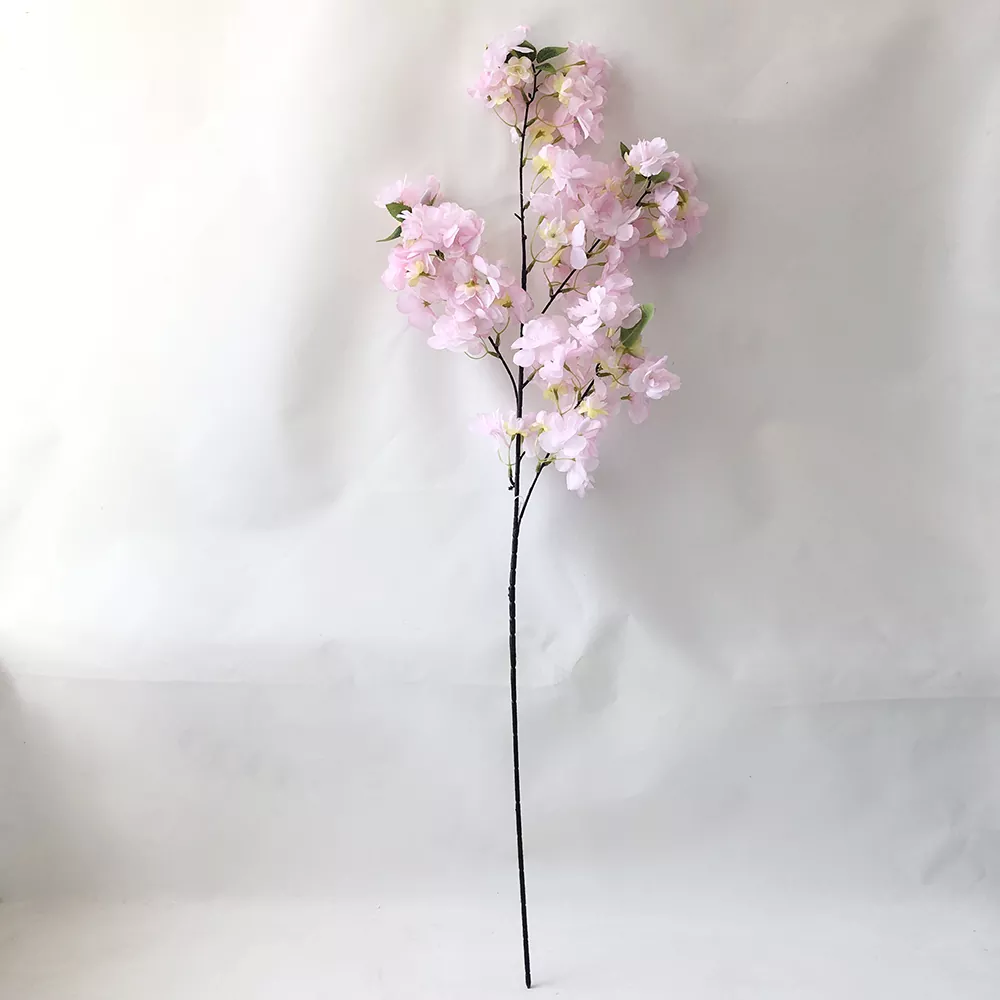 3 فورکس مصنوعی چیری بلومس