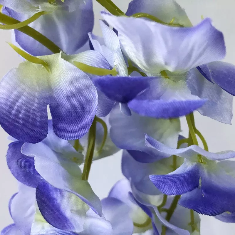 black wisteria fake