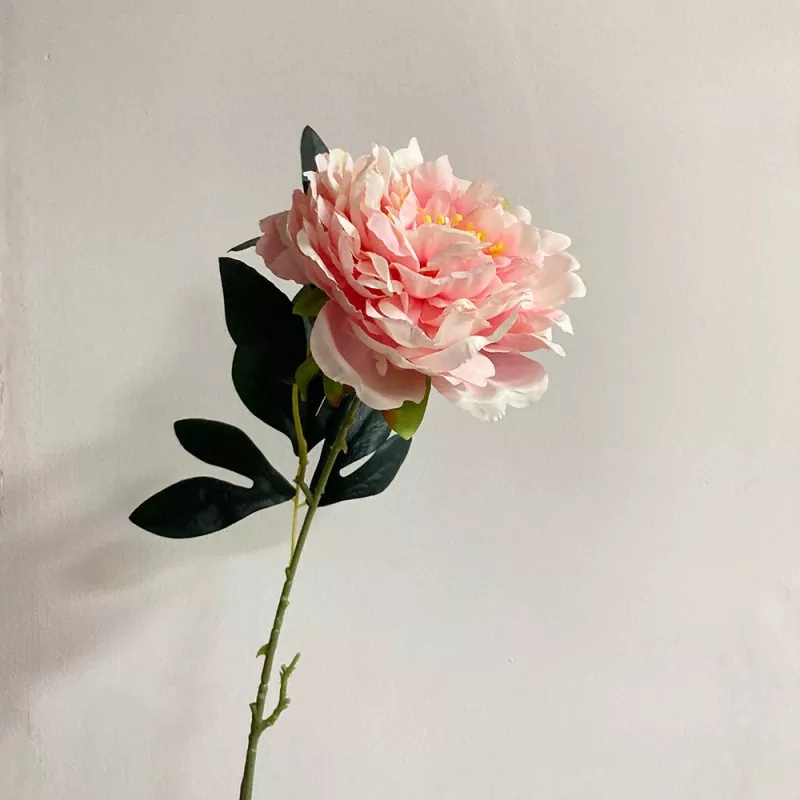 طویل سنگل اسٹیم جعلی پیونی