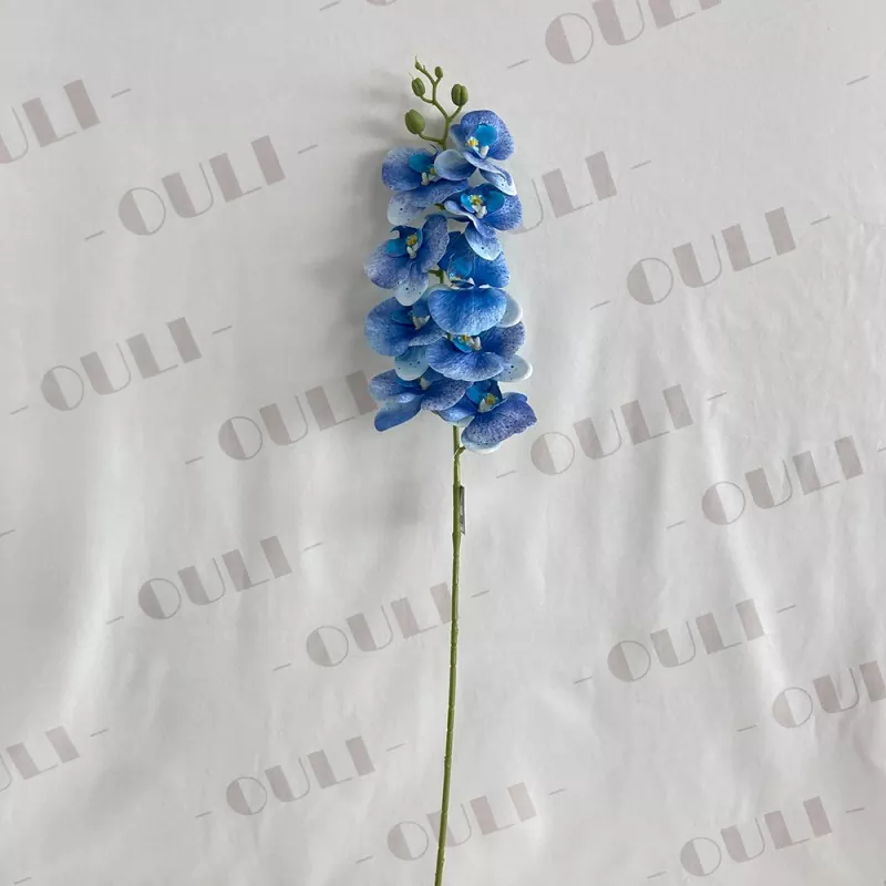 ملٹی کلر غلط آرکڈ
