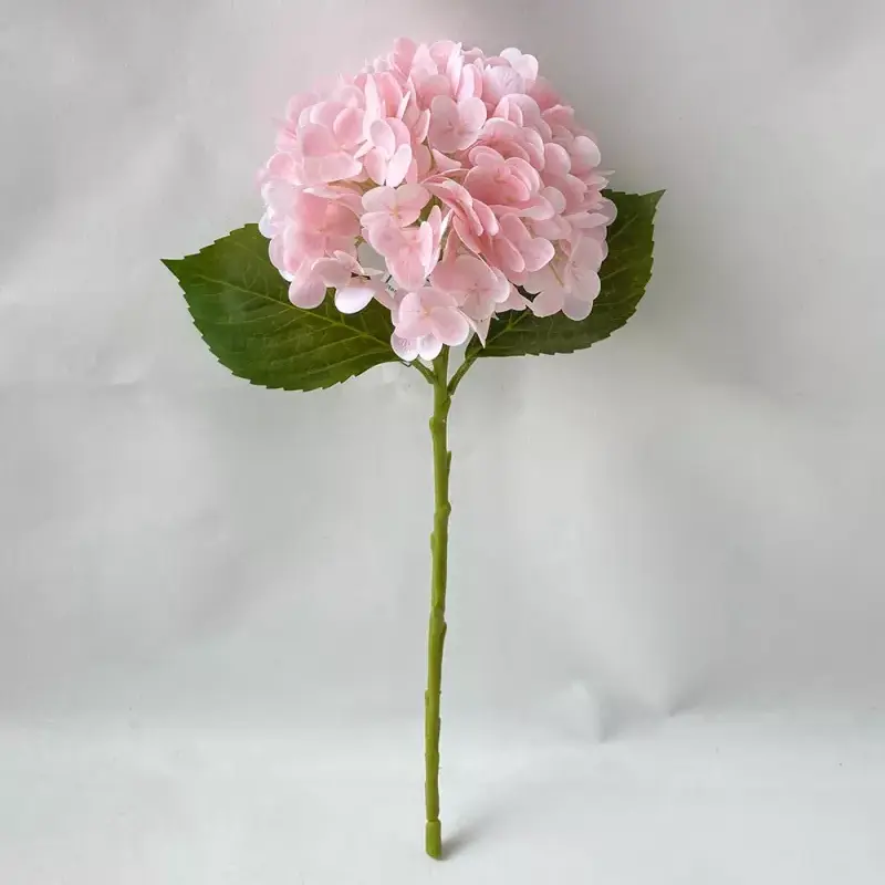 اصلی ٹچ مصنوعی ہائیڈریجینا