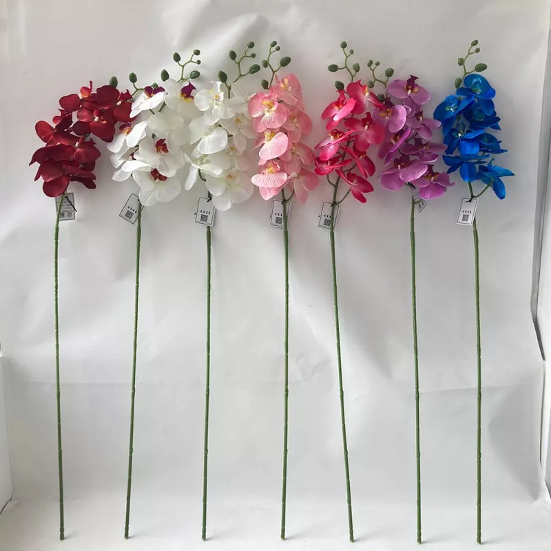 ریشم کے پھول phalaenopsis آرکڈ