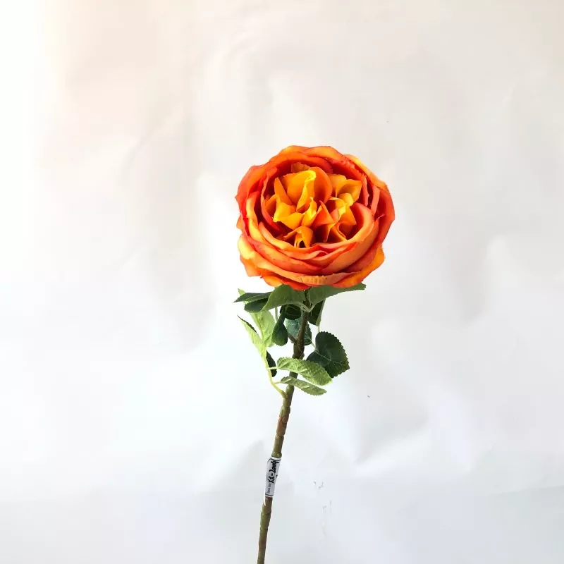 سفید جعلی پیونی پھول